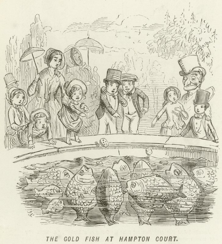Gullfisken på Hampton Court av John Leech