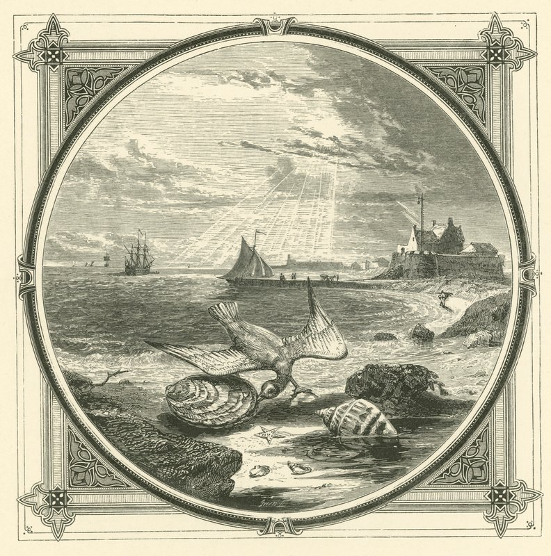 Biteren bitt (gravering) av John Leighton