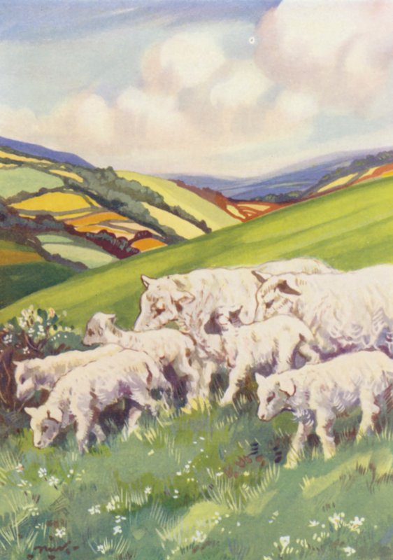  av John Nicholson