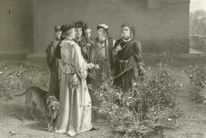 De rivaliserende rosene av John Pettie