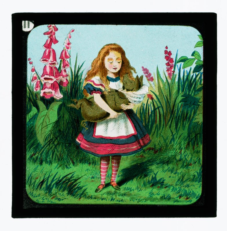 Alice i Eventyrland, Fargede lanternelys av John Tenniel