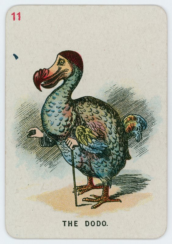 Dodo av John Tenniel