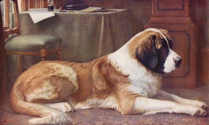  av John William Allison