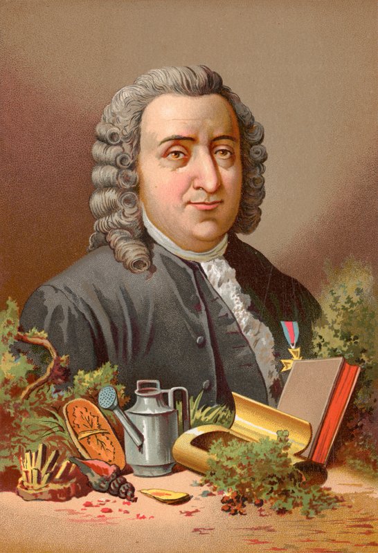 Carl Linné av Jose Armet Portanell
