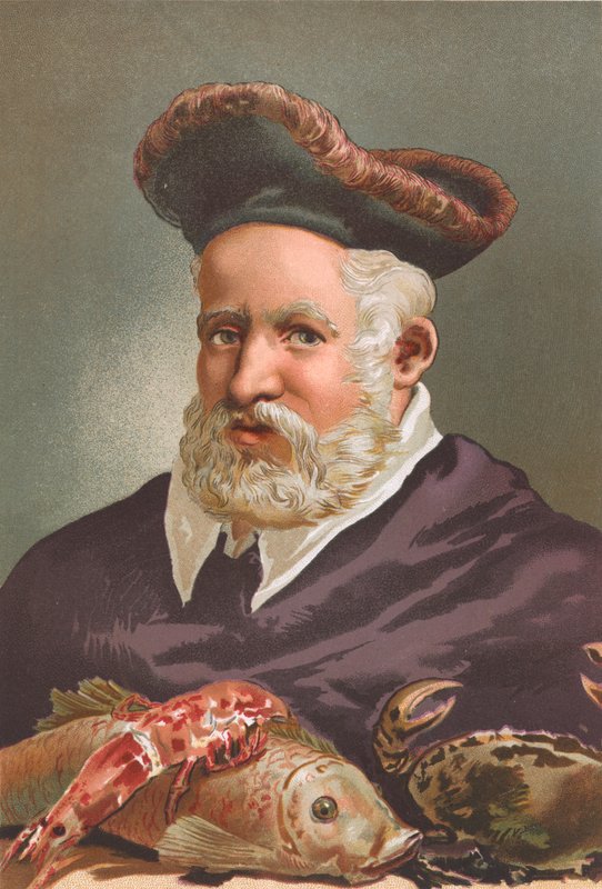 Guillaume Rondelet av Josep or Jose Planella Coromina