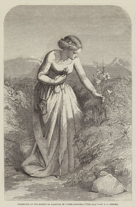 Utstilling av Society of Painters in Water Colours, The Lily av Joseph John Jenkins