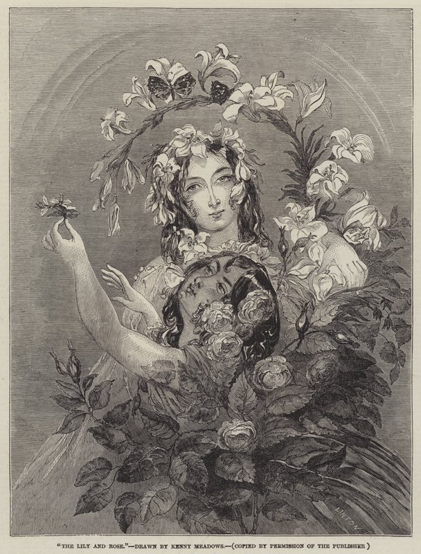Liljen og rosen av Joseph Kenny Meadows