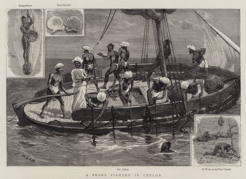 Et perlefiske på Ceylon av Joseph Nash