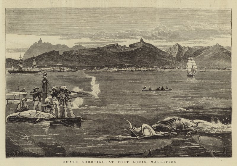 Haiskyting ved Port Louis, Mauritius av Joseph Nash