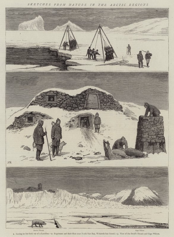 Skisser fra naturen i de arktiske strøkene av Joseph Nash