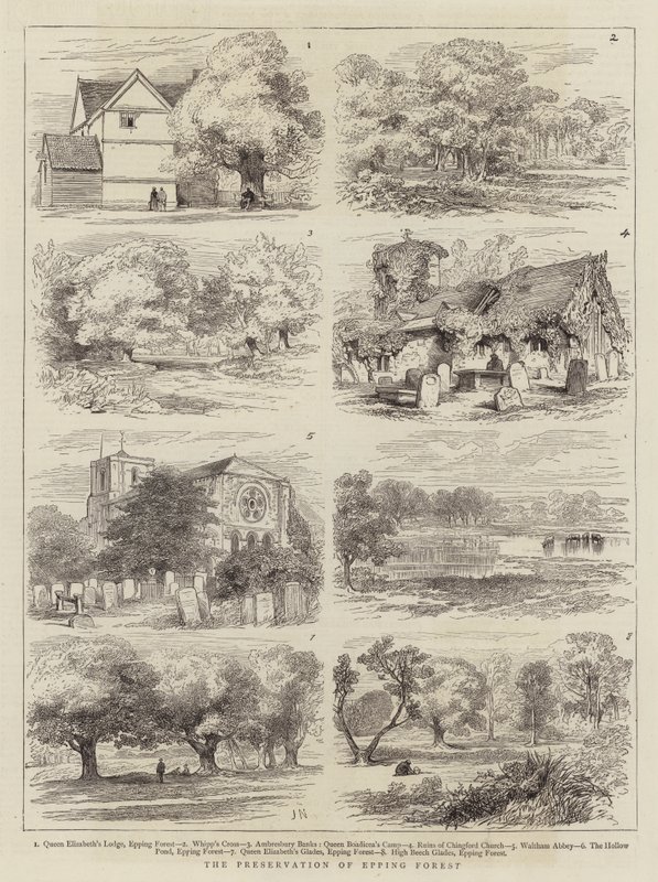 Bevaring av Epping Forest av Joseph Nash