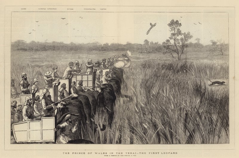 Prinsen av Wales i Terai, den første leoparden av Joseph Nash