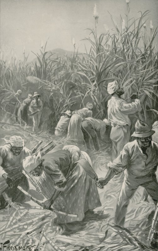 Svart på jobb i en sukkerrørplantasje på Jamaica (litho) av Joseph (after) Finnemore