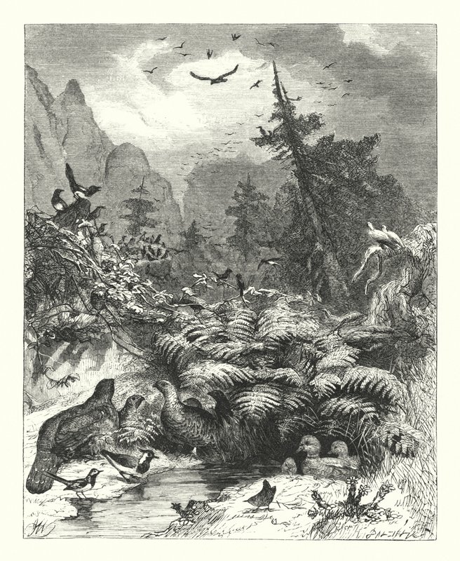 Søk etter Gud (gravering) av Joseph (after) Wolf
