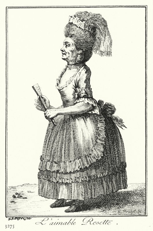 Den vakre rosetten (gravering) av Joseph Franz von (after) Goez