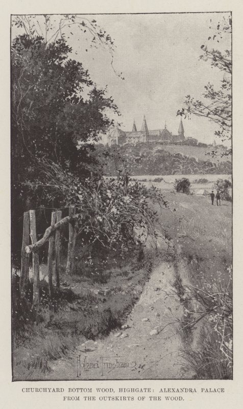 Churchyard Bottom Wood, Highgate, Alexandra Palace fra utkanten av skogen av Joseph Holland Tringham