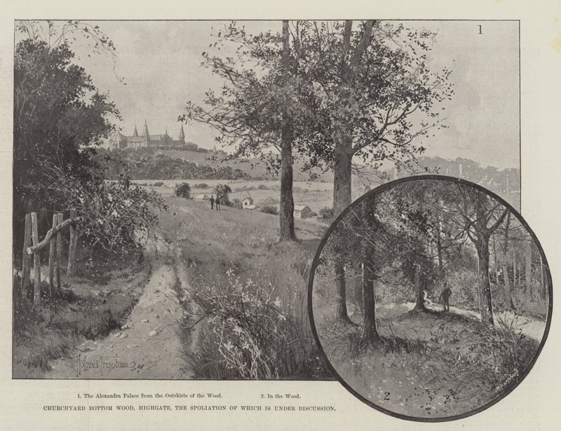 Churchyard Bottom Wood, Highgate, hvis spoliering er under diskusjon av Joseph Holland Tringham