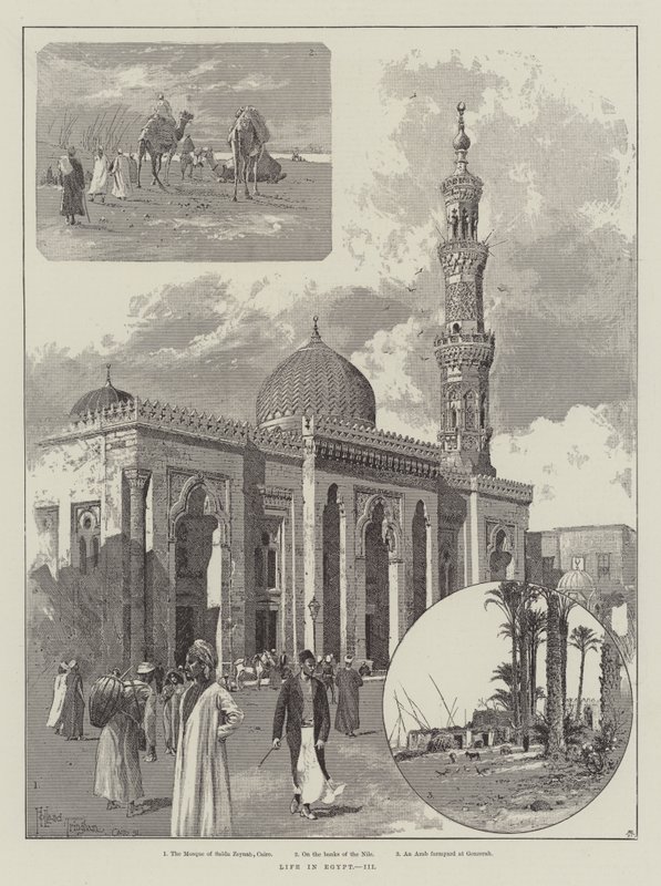 Livet i Egypt av Joseph Holland Tringham