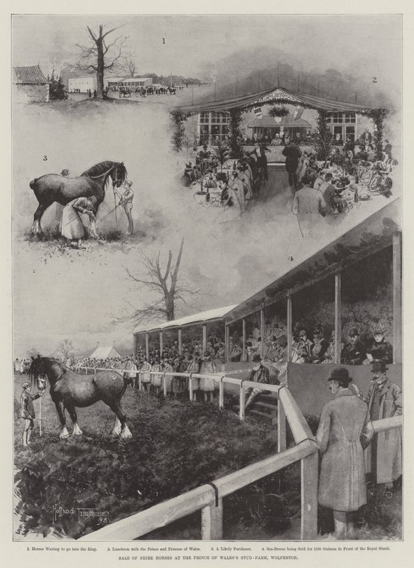 Salg av Shire-hester på Prince of Wales Stud-Farm, Wolferton av Joseph Holland Tringham