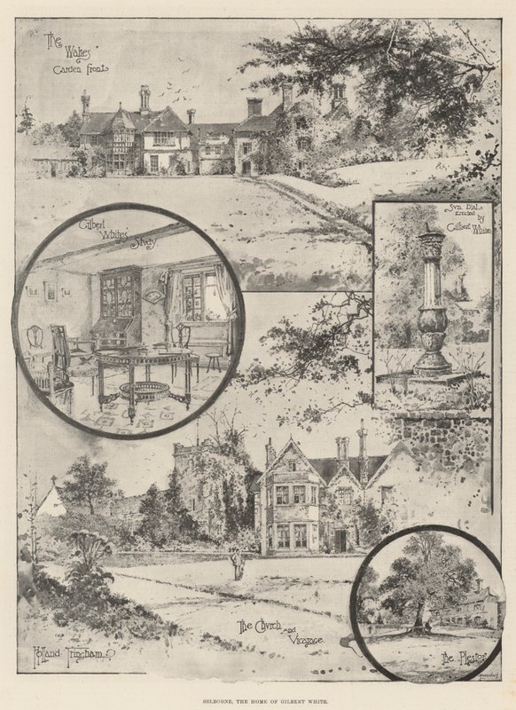 Selborne, hjemmet til Gilbert White av Joseph Holland Tringham
