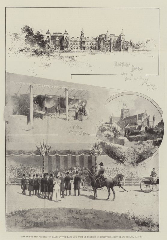 Prinsen og prinsessen av Wales på Bath and West of England Agricultural Show på St Albans, 29. mai av Joseph Holland Tringham