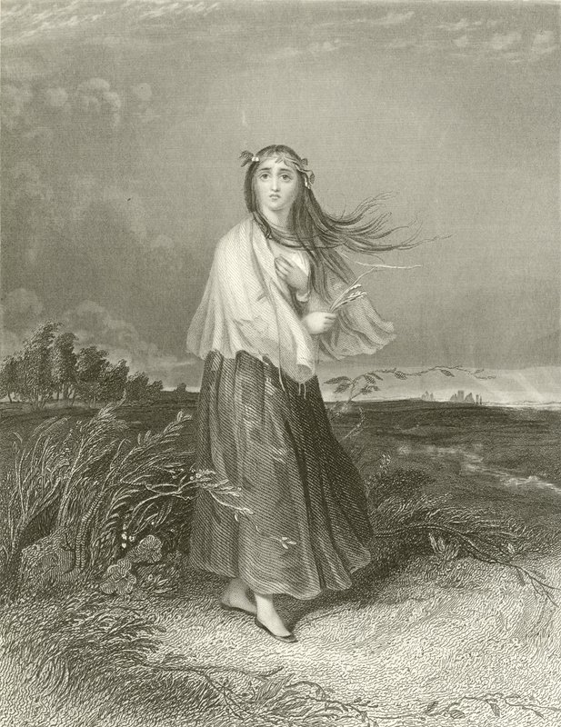 Kate er gal av Joseph John Jenkins