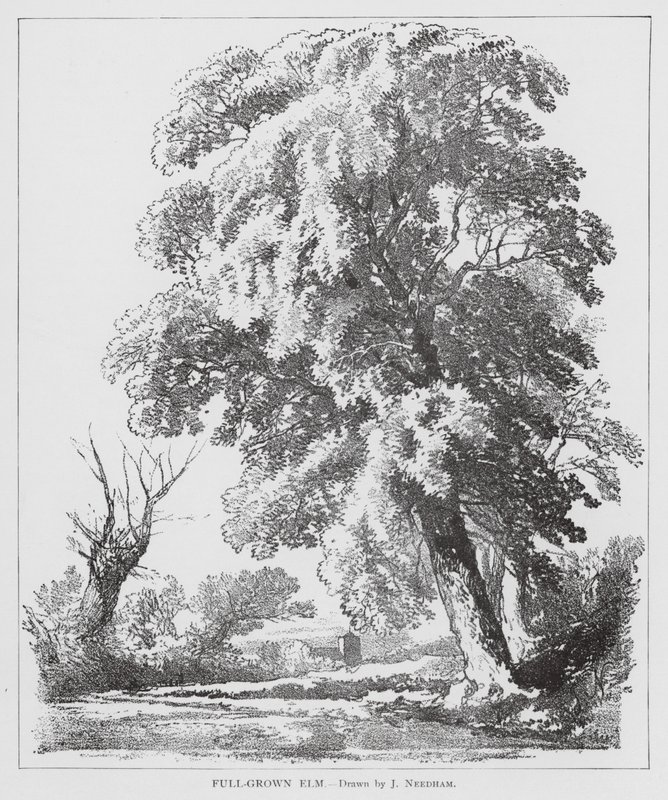  av Joseph Needham