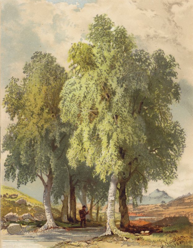  av Joseph Needham