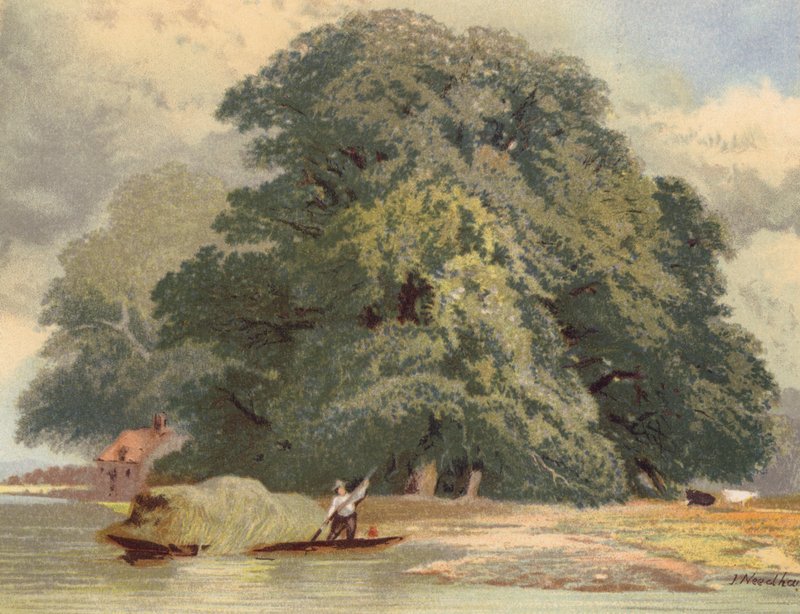  av Joseph Needham