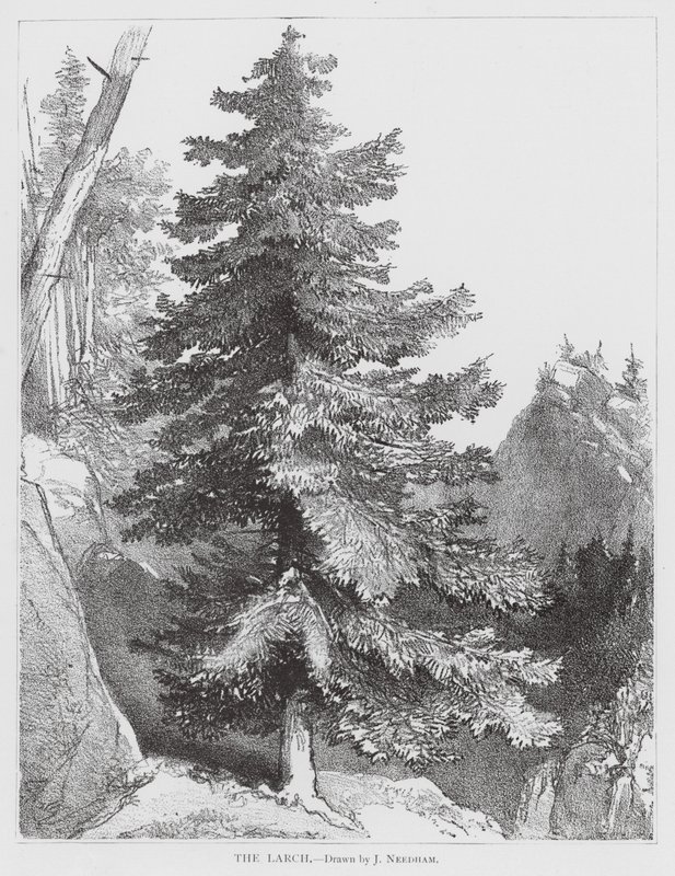  av Joseph Needham