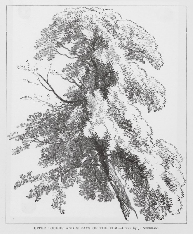  av Joseph Needham