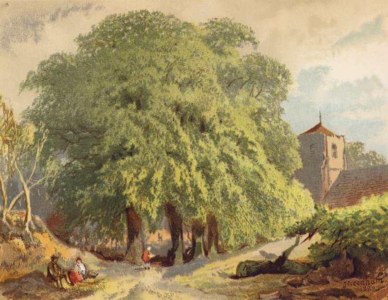  av Joseph Needham