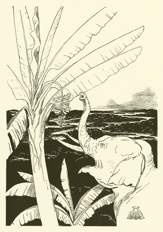 Elefantens barn skal trekke bananer (gravering) av Joseph Rudyard (after) Kipling