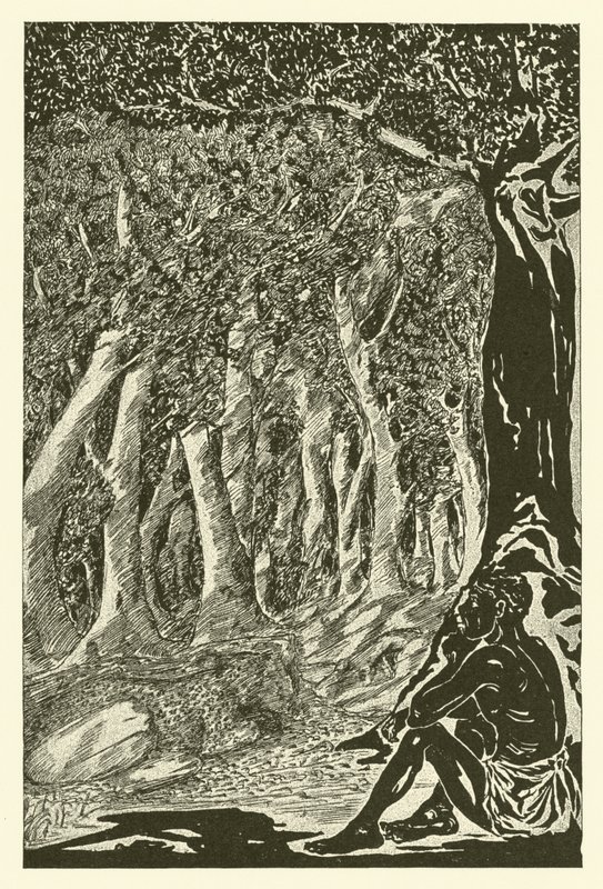 Leoparden og etiopieren (gravering) av Joseph Rudyard (after) Kipling