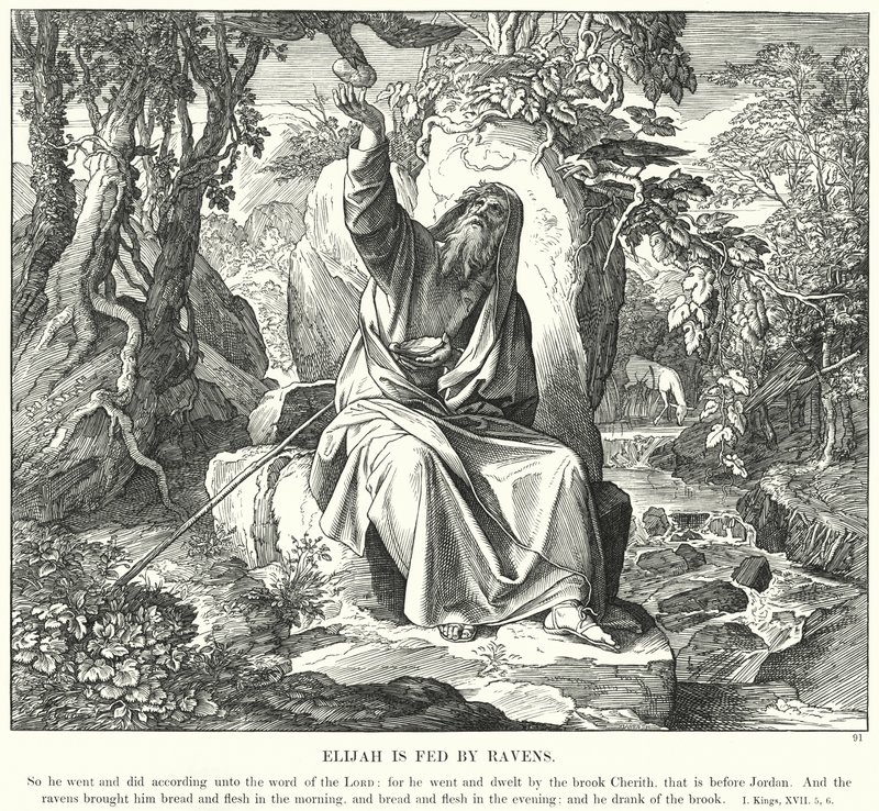 Elijah blir matet av ravner (gravering) av Julius (after) Schnorr von Carolsfeld
