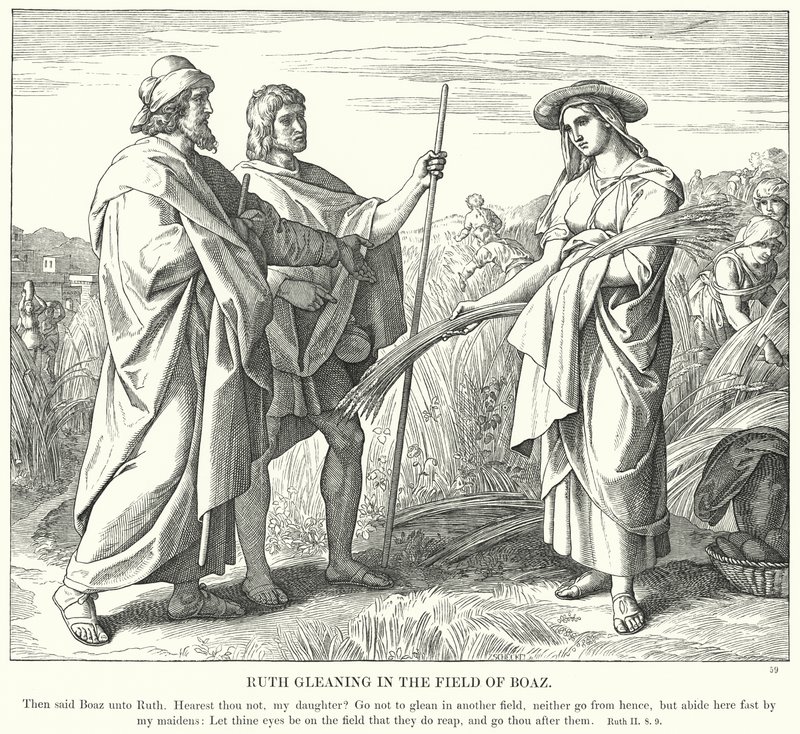 Ruth sanker på Boas-marken (gravering) av Julius (after) Schnorr von Carolsfeld