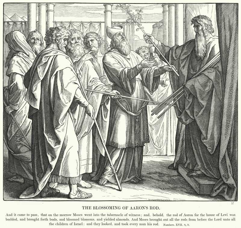 The Blossoming of Arons Rod (gravering) av Julius (after) Schnorr von Carolsfeld