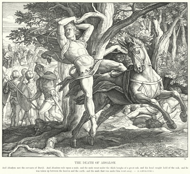 Absaloms død (gravering) av Julius (after) Schnorr von Carolsfeld
