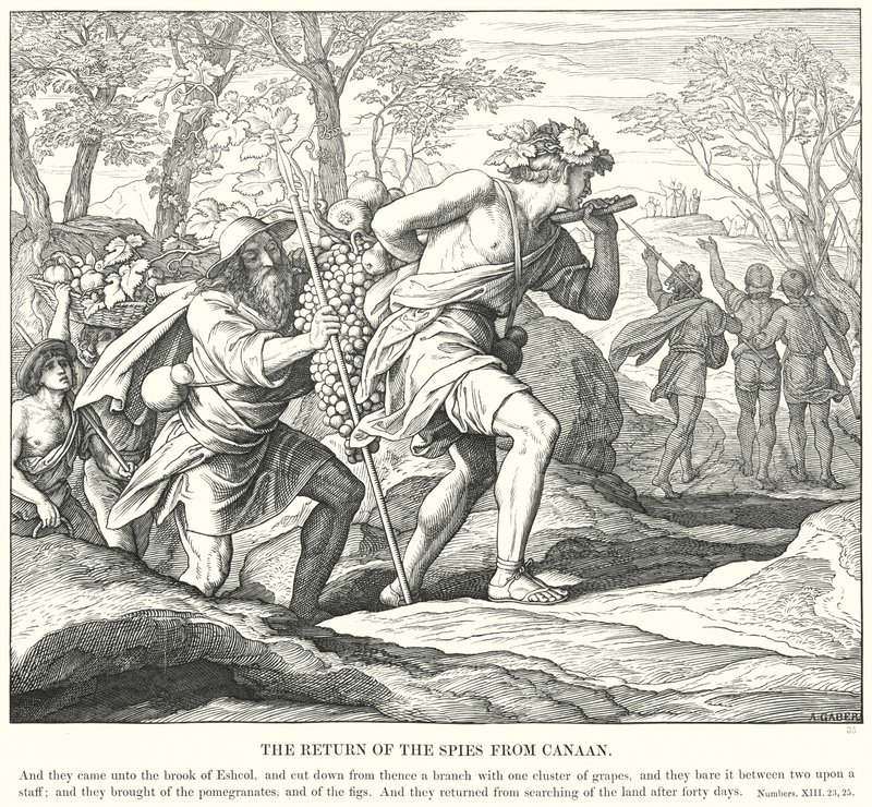 The Return of the Spies from Canaan (gravering) av Julius (after) Schnorr von Carolsfeld