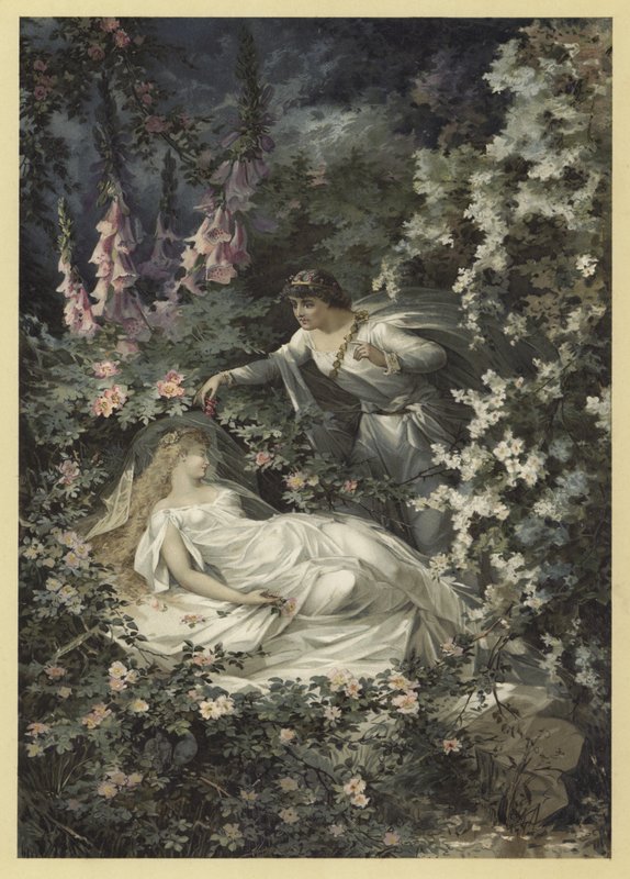 Illustrasjon for A Midsummer Nights Dream (chromolitho) av Julius Hoeppner