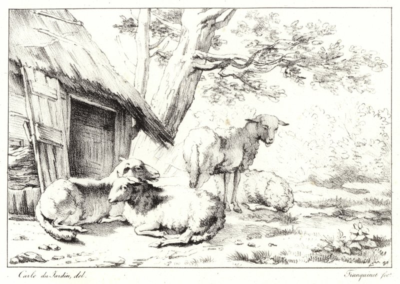 Sau av Karel Dujardin