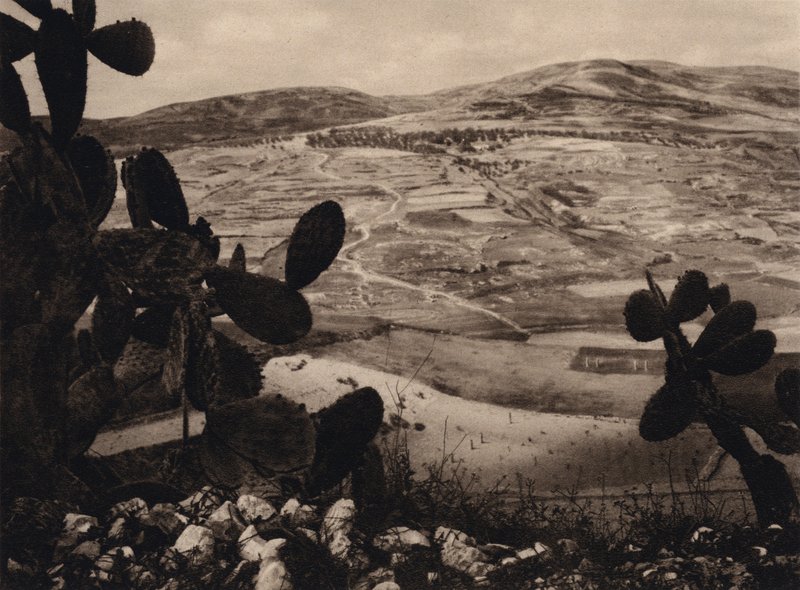 Samaria, Herodes Hippodrome (s/hvitt bilde) av Karl Grober