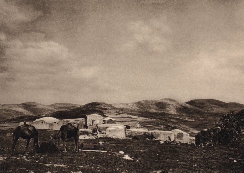 Samaria, utsikt fra ruinene av Herodes palass (s/hvitt bilde) av Karl Grober