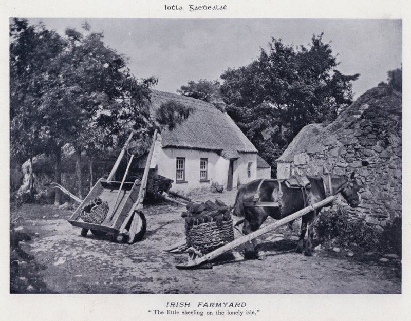 Irish Farmyard (s/hvitt bilde) av Karl Karlovich Piratsky