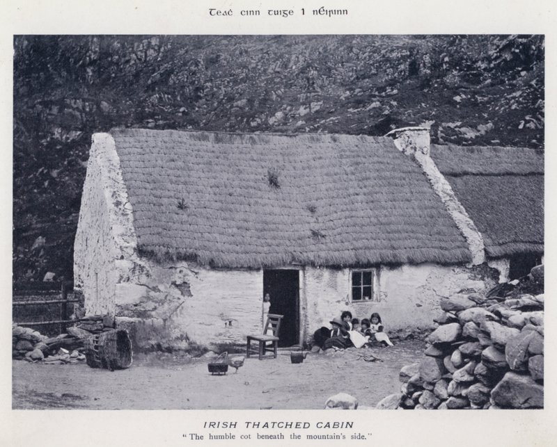 Irish Thatched Cabin (b/w photo) av Karl Karlovich Piratsky