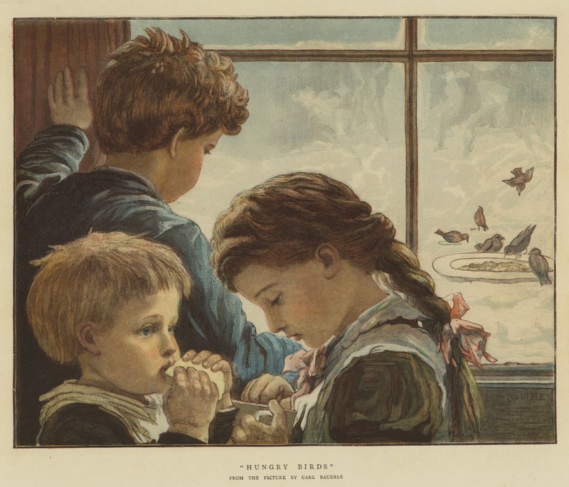 Ungarske fugler (chromolitho) av Karl Wilhelm Friedrich Bauerle