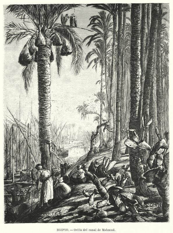 Bankene til Mahmoudiyah-kanalen, Egypt (litho) av Karl Wilhelm Gentz