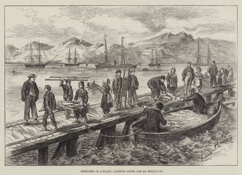 Skisser på Island, landing av tørket torsk i Reykjavik av L. Huard