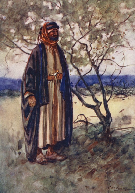  av Lance Thackeray