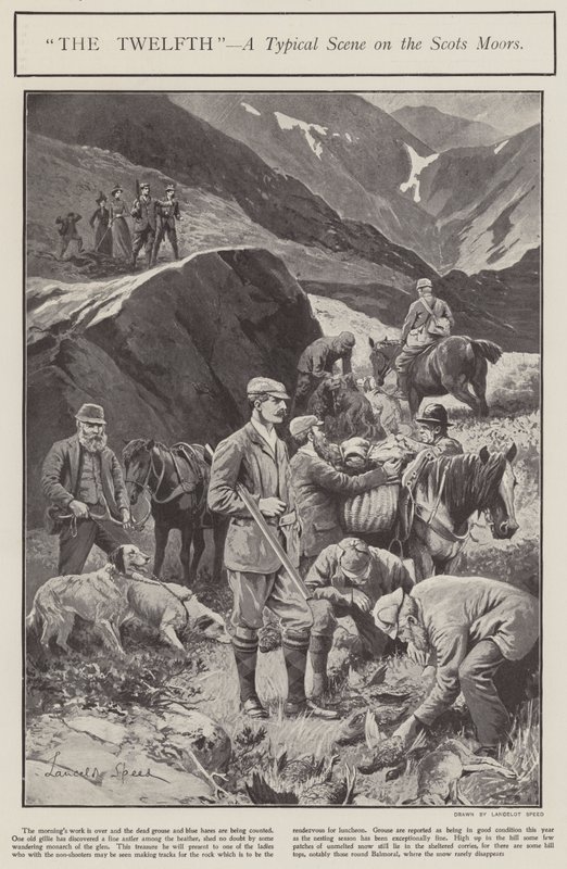 "The Twelth" - a typical scene on the Scots Moors (litho) av Lancelot Speed